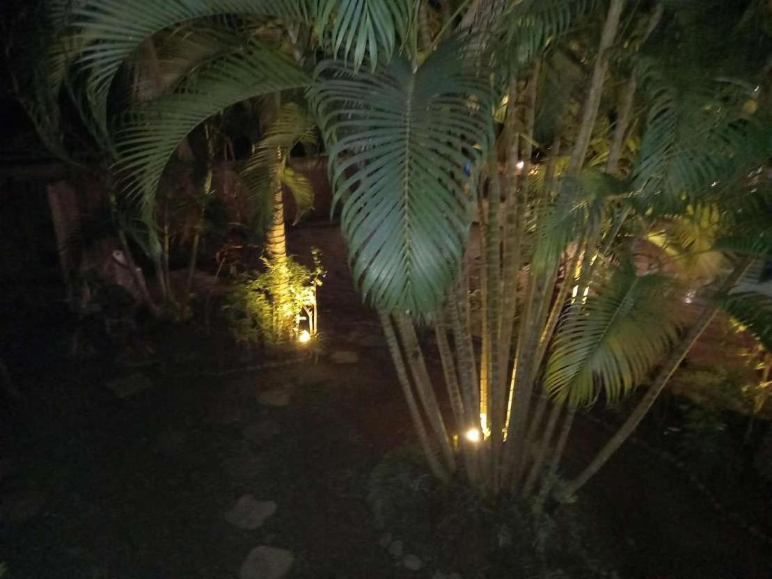 Oasis Palms Hotel Nadi Exterior photo